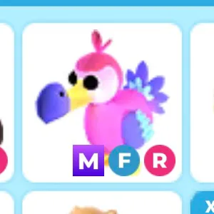 mfr dodo