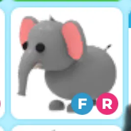 fr elephant 🐘