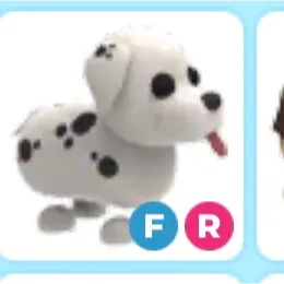 fr Dalmatian