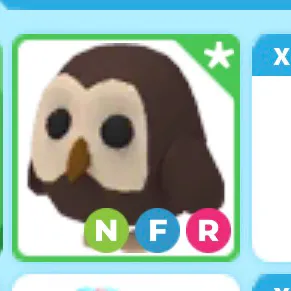 nfr owl 🦉