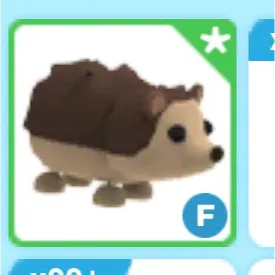 hedgehog