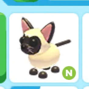 neon. Siamese cat 🐈‍⬛