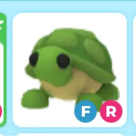 fr turtle 🐢