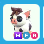 mfr mini pig