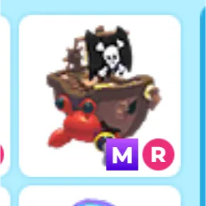 mr pirate hermit crab