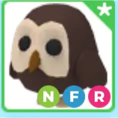 nfr owl 🦉