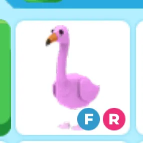 fr flamingo 🦩