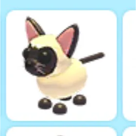 2 x Siamese  cats 🐈‍⬛