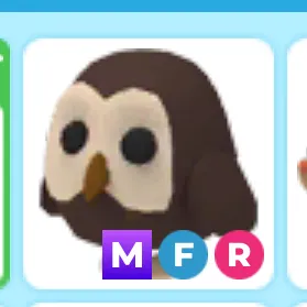 mfr owl 🦉