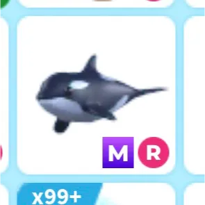 mr orca 🫍