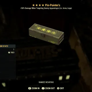 PIN POINTERS MOD