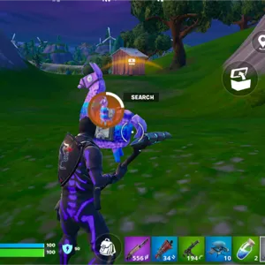 Purple Skull/Maxed Stw