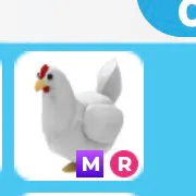 Chicken MR