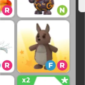 Kangaroo FR