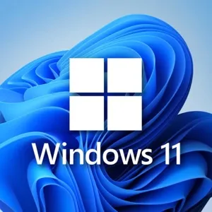 Windows 11 professional 