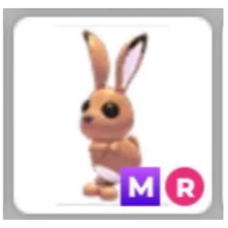 Mega MR Hare