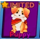 Puppy