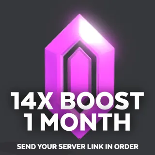 14X 1 Month DC Server Boost