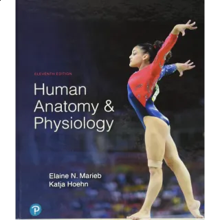 Human Anatomy & Physiology 11th Edition