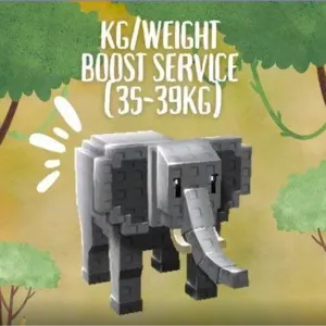 KG BOOST SERVICE 35-39KG