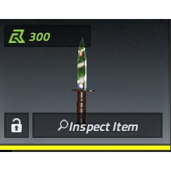 Bayonet: Decor | Counter Blox | Cheap/Fast Delivery 