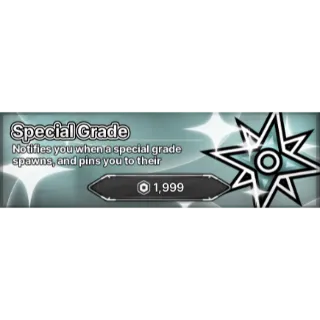 special grade - Jujutsu Zero