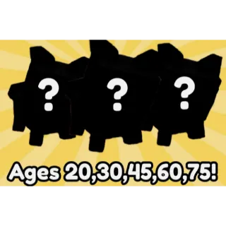 RANDOM LEVEL PETs BUNDLE 20 , 30 , 45 , 60 , 75  - GROW A GARDEN