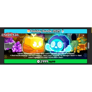 HOLIDAY BUNDLE - Blox Fruits