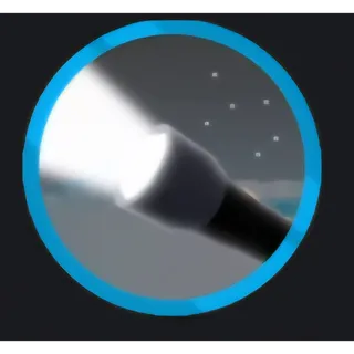 EXPEDITION ANTARTICA - FLASHLIGHT