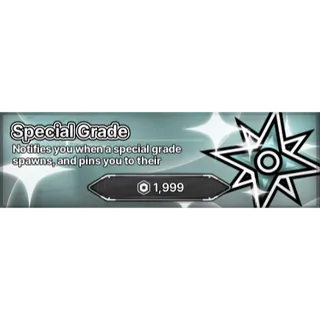 special grade - Jujutsu Zero