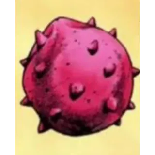 10 ROKA SEEDS : BRIDGER WESTERN