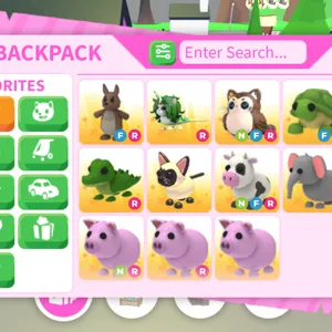pet bundle