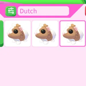 Dutch Guiana pigs