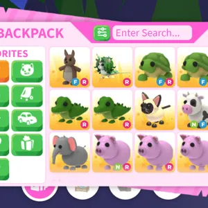 pet bundle