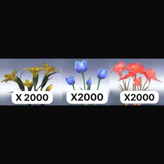 Hybrid flowers