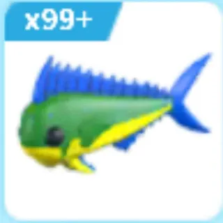 Mahi Mahi X 162