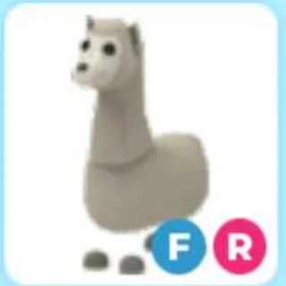 FR Llama