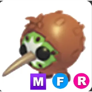MFR Kiwi Kiwi