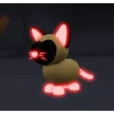 nfr siamese cat 