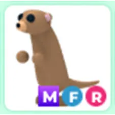 mfr meerkat
