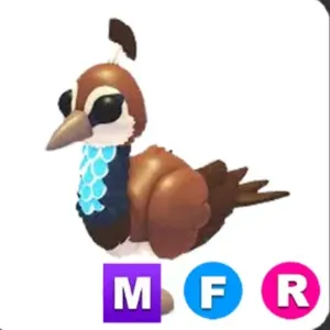 MFR Peahen