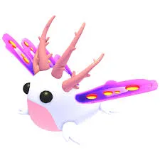 sea slugs