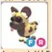 fr african wild dog