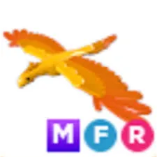 mfr phoenix