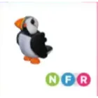 nfr puffin