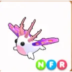 nfr sea slugs