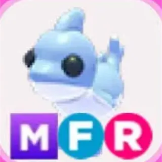 mfr shark puppy