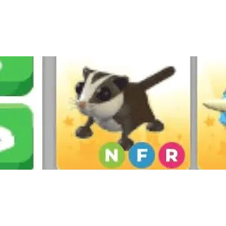 NFR SUGAR GLIDER