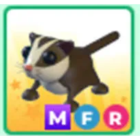 mfr sugar glider