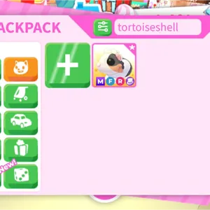 รายการภาพถ่าย